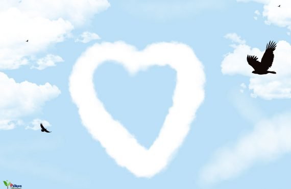 Her-Evlilikte-Yaşanan-5-Aşama | Psikon Cinsel Terapi Destek Merkezi Her evlilikte yaşanan 5 aşama